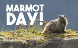 marmot day